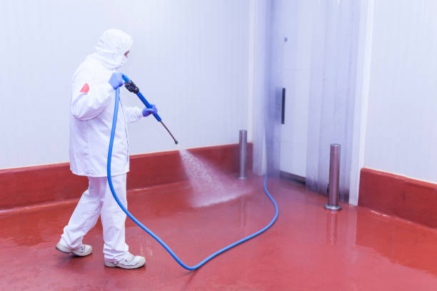 Best Spring Cleaning  in Purdy, MO